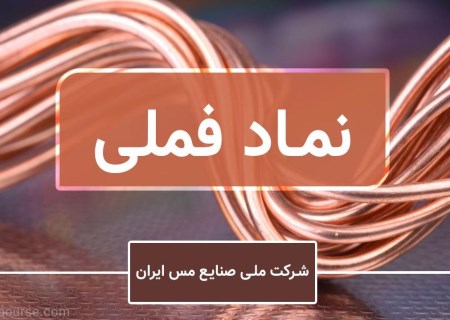 رشد ۱۱ درصدی ارزش فملی در هفته اول اسفند ماه