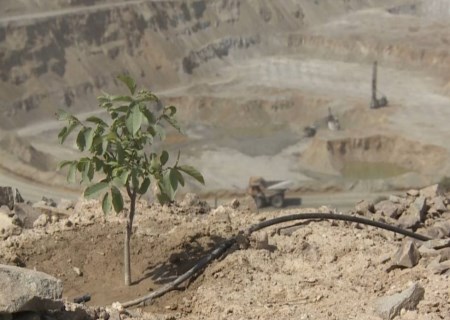 مسیر سبز شرکت ملی مس برای تأمین پایدار انرژی و آب با توسعه نیروگاه‌های تجدیدپذیر